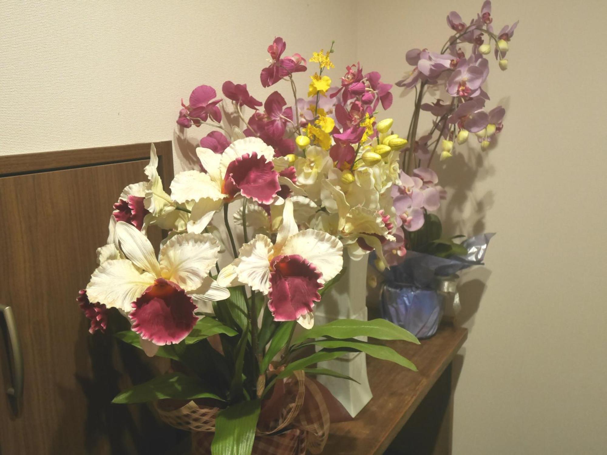 Guesthouse Grande今宮駅前 Osaka Exterior photo